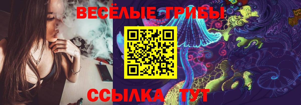 Галлюциногенные грибы Psilocybe Сатка