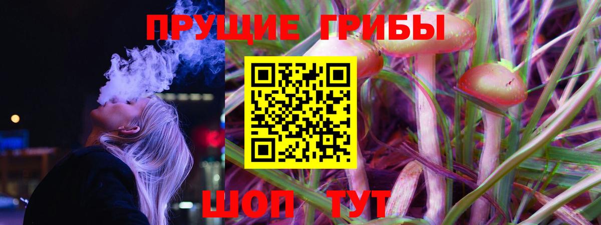 Псилоцибиновые грибы Psilocybe  Вход с VPN  Псилоцибиновые грибы прущие грибы  Сатка 